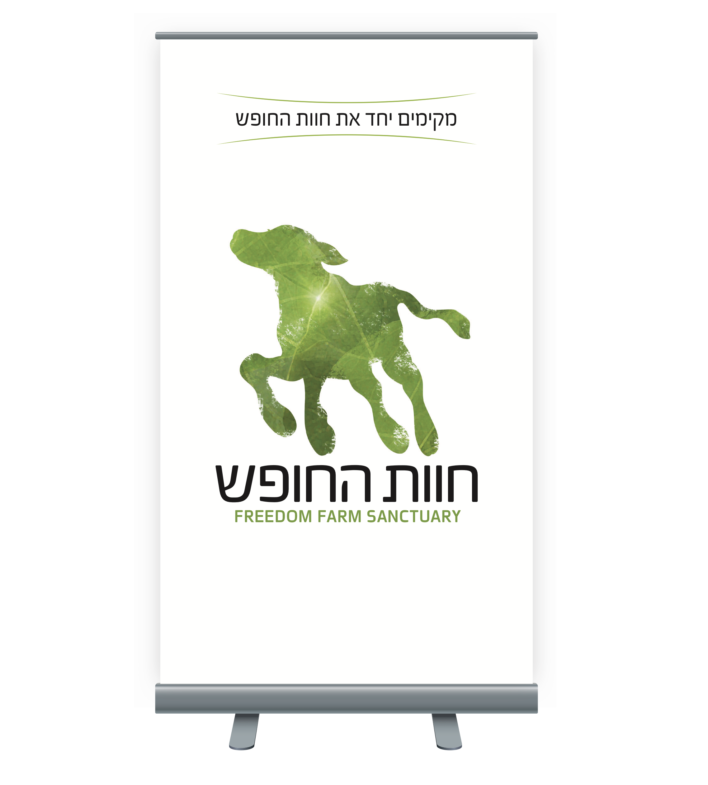 Entry 307536 in Portfolio by שרון כהן