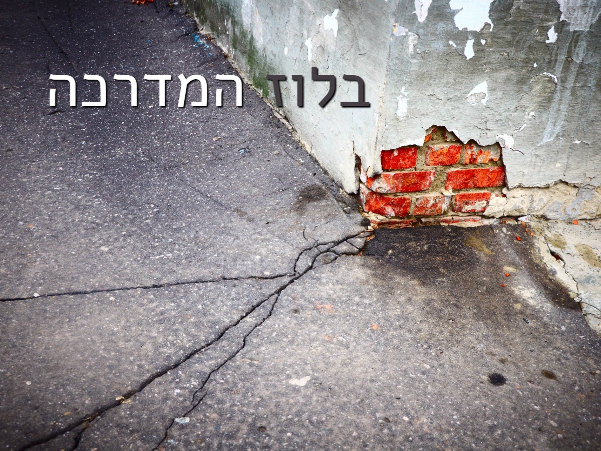 Entry 87270 in עיצוב גרפי by Orit Slama