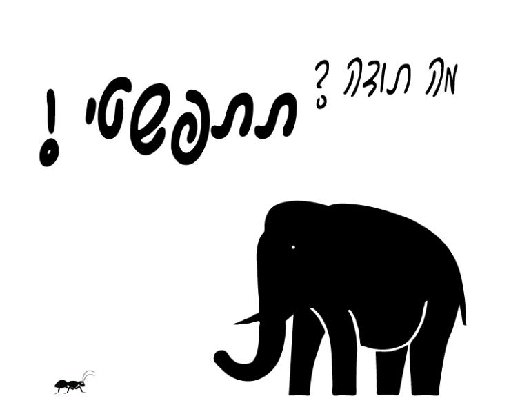 Entry 40245 in Portfolio by אורן שני, קומירַייטינג