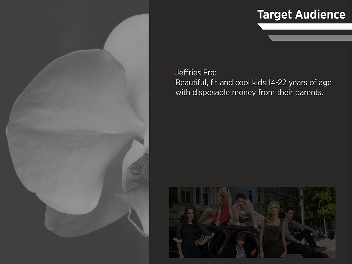 Entry 115933 in Abercrombie & Fitch Rebrand by Megan Wilcox