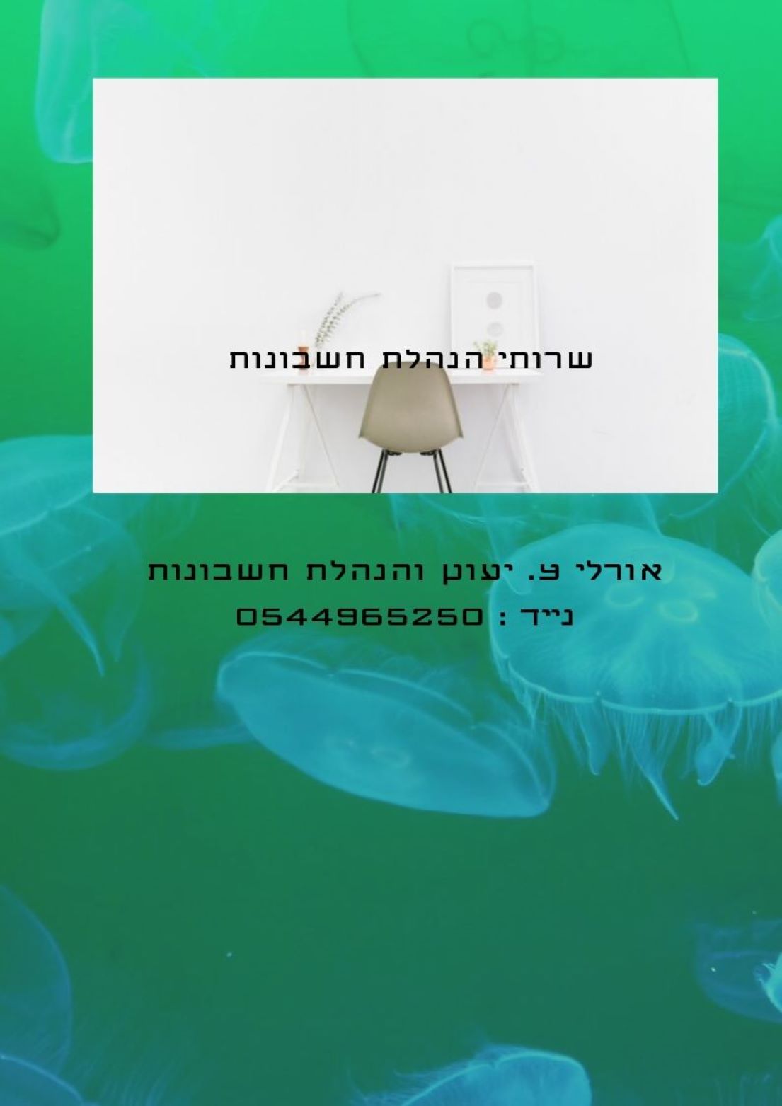 Entry 223100 in Portfolio by אורלי צ. יעוץ והנהלת חשבונות
