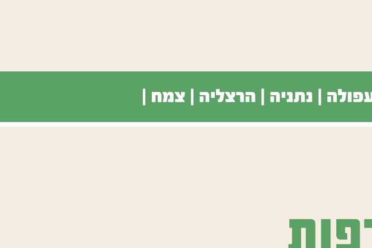 XPlace פרילנסרים | עבודה מהבית לפרילנסר ועבודות פרילנס לפרילנסרים