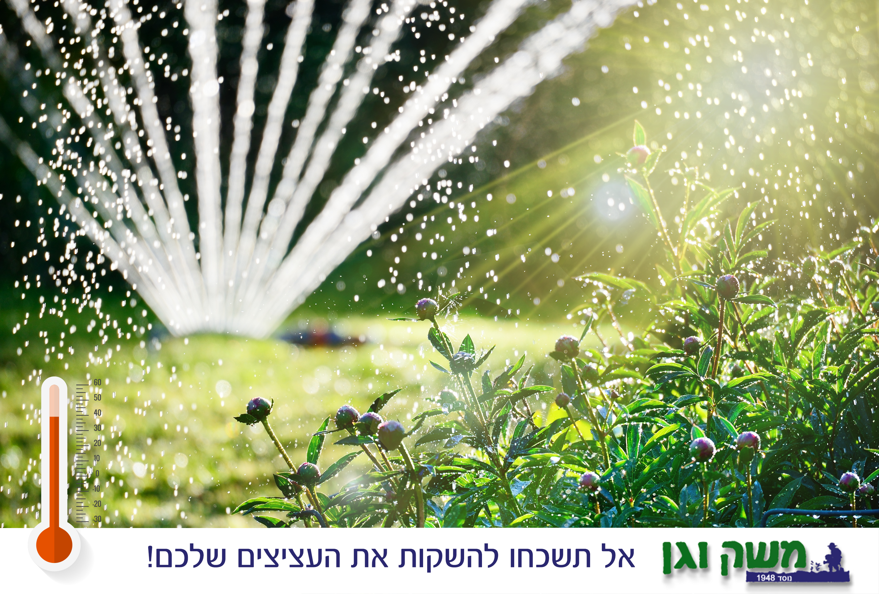 Entry 221199 in עיצוב פוסטים ובאנרים by NUNI DESIGN