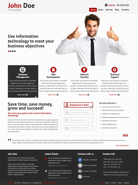 Entry 182423 in IT Consultant Lite by SKT Themes