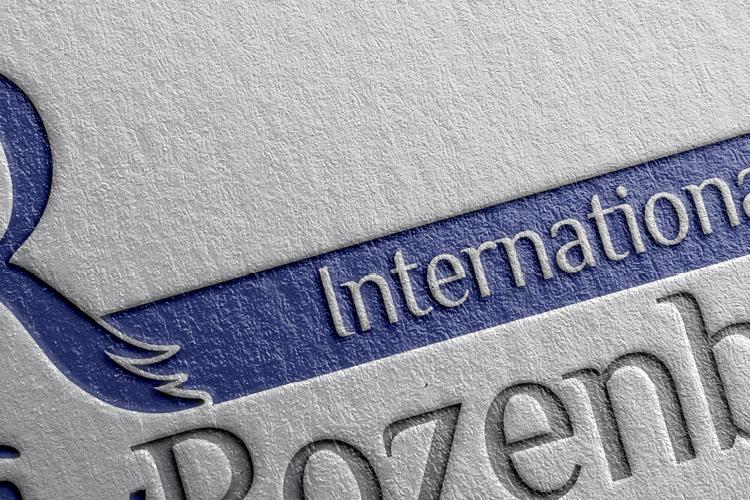 Open Zoomed Related Entry תיק עבודות חדש5.png