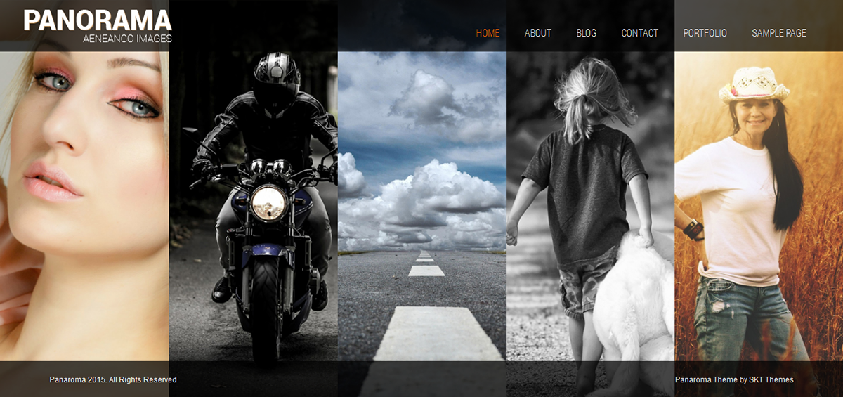 Entry 182565 in Panaroma-SKT Themes by SKT Themes