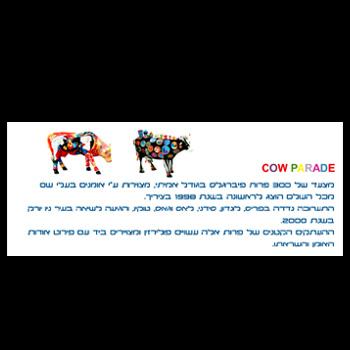 Entry 35652 in Portfolio by חני