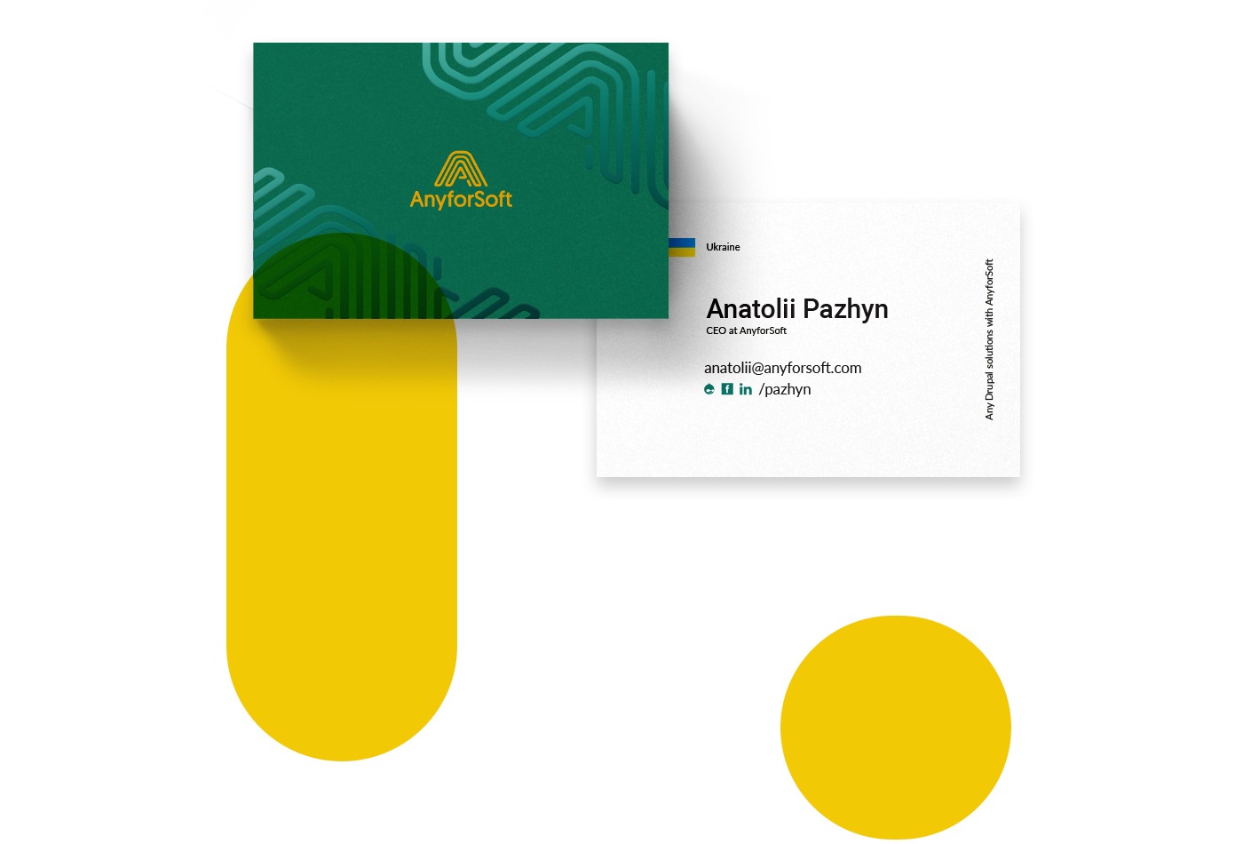 Entry 235809 in AnyforSoft - Branding by AnyforSoft