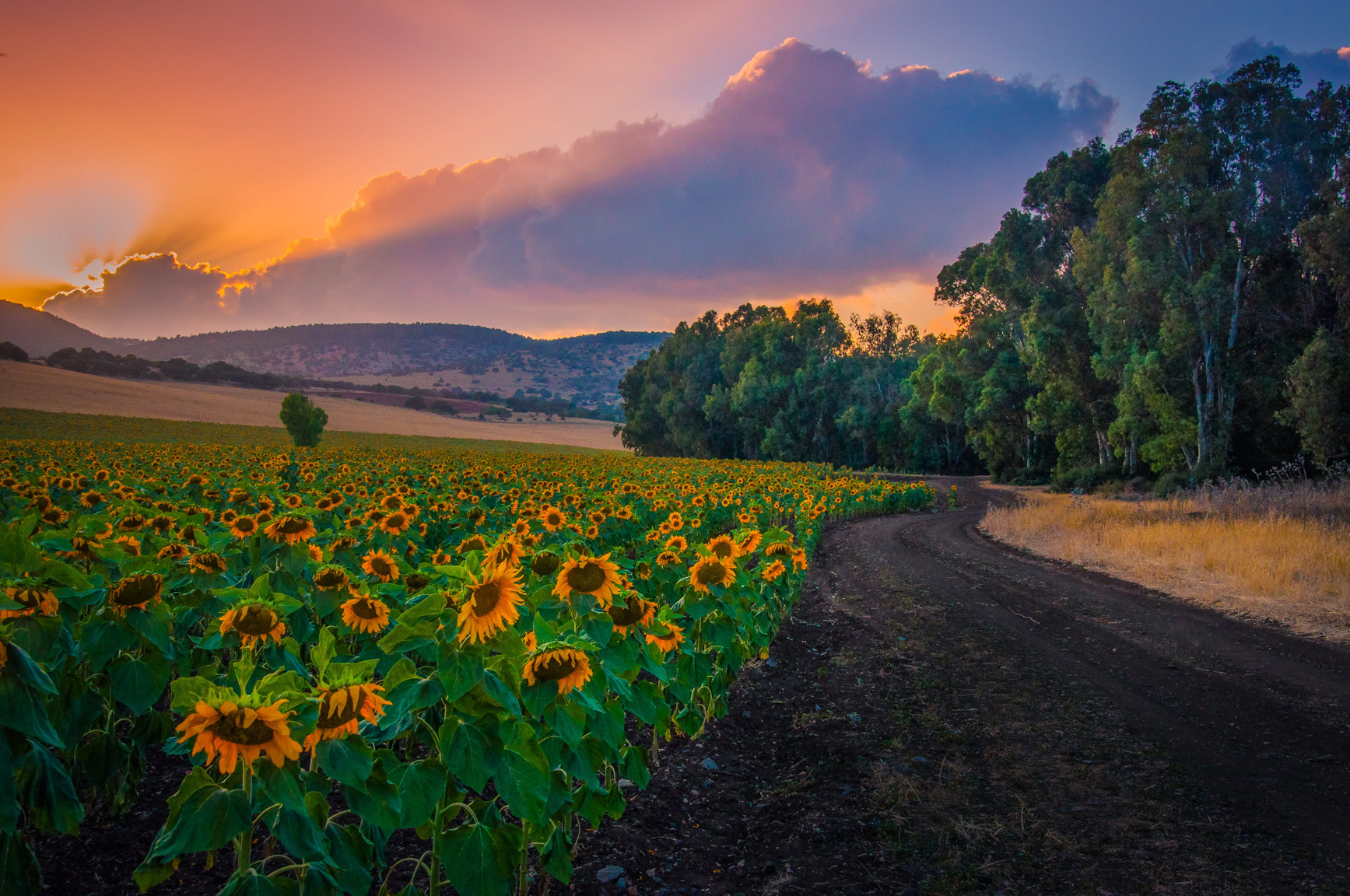 Entry 121405 in Landscapes by Ron Stollman Photography