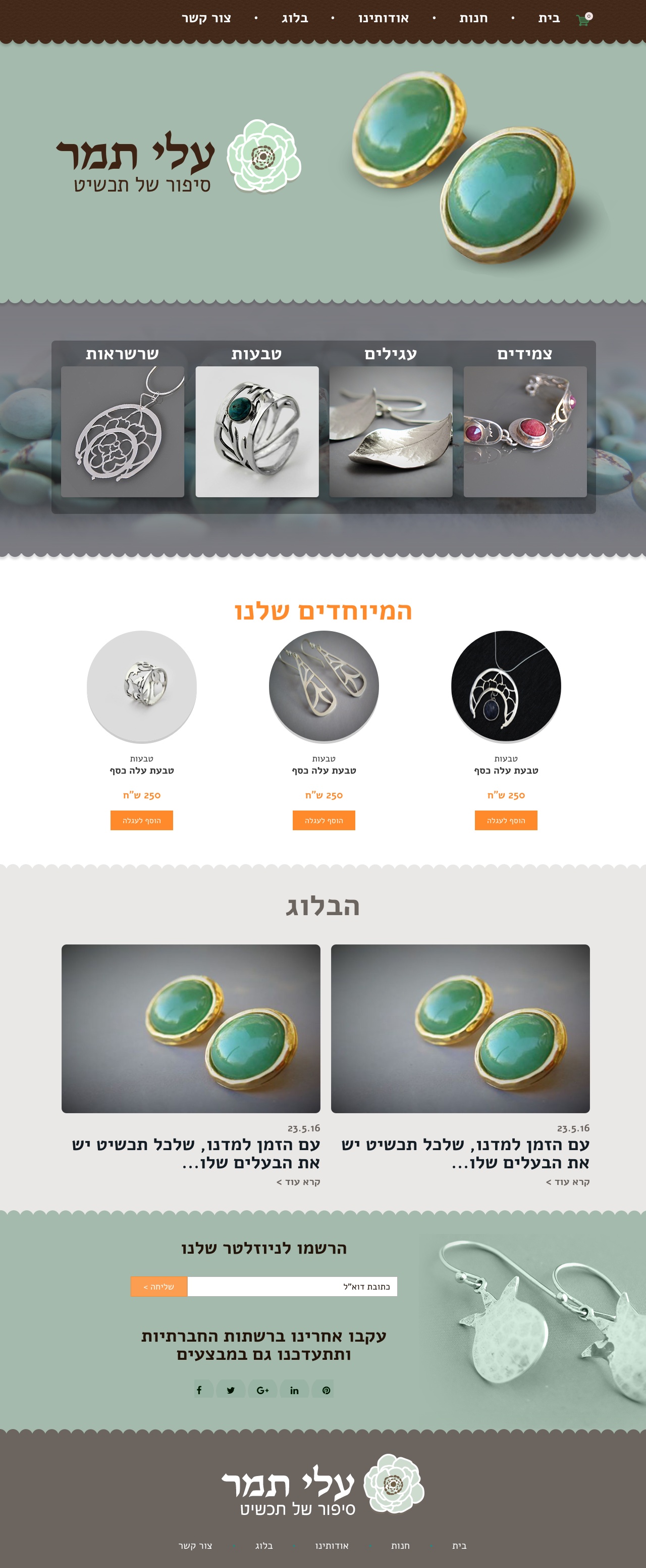 Entry 100773 in Portfolio by Ycoder - בניית אתרים