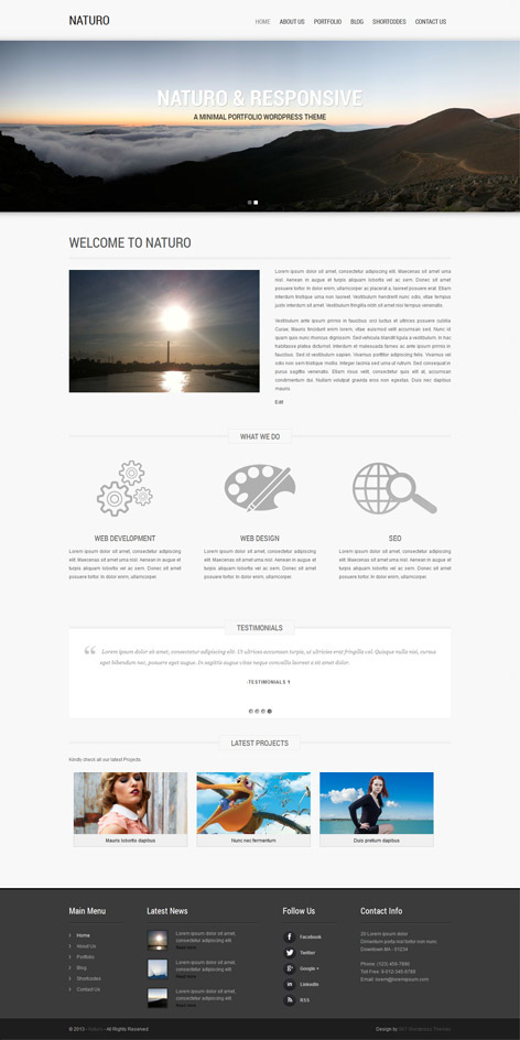 Entry 182672 in Clean Minimal WordPress Theme by SKT Themes