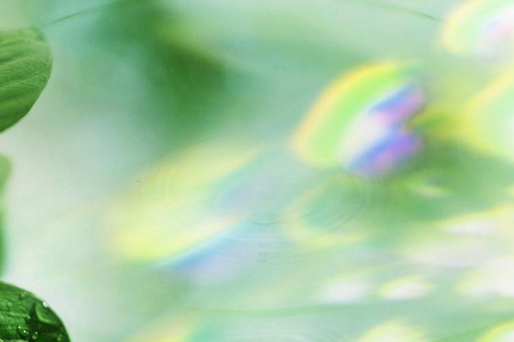 Open Zoomed Related Entry best_wallpaper_nko_48.jpg