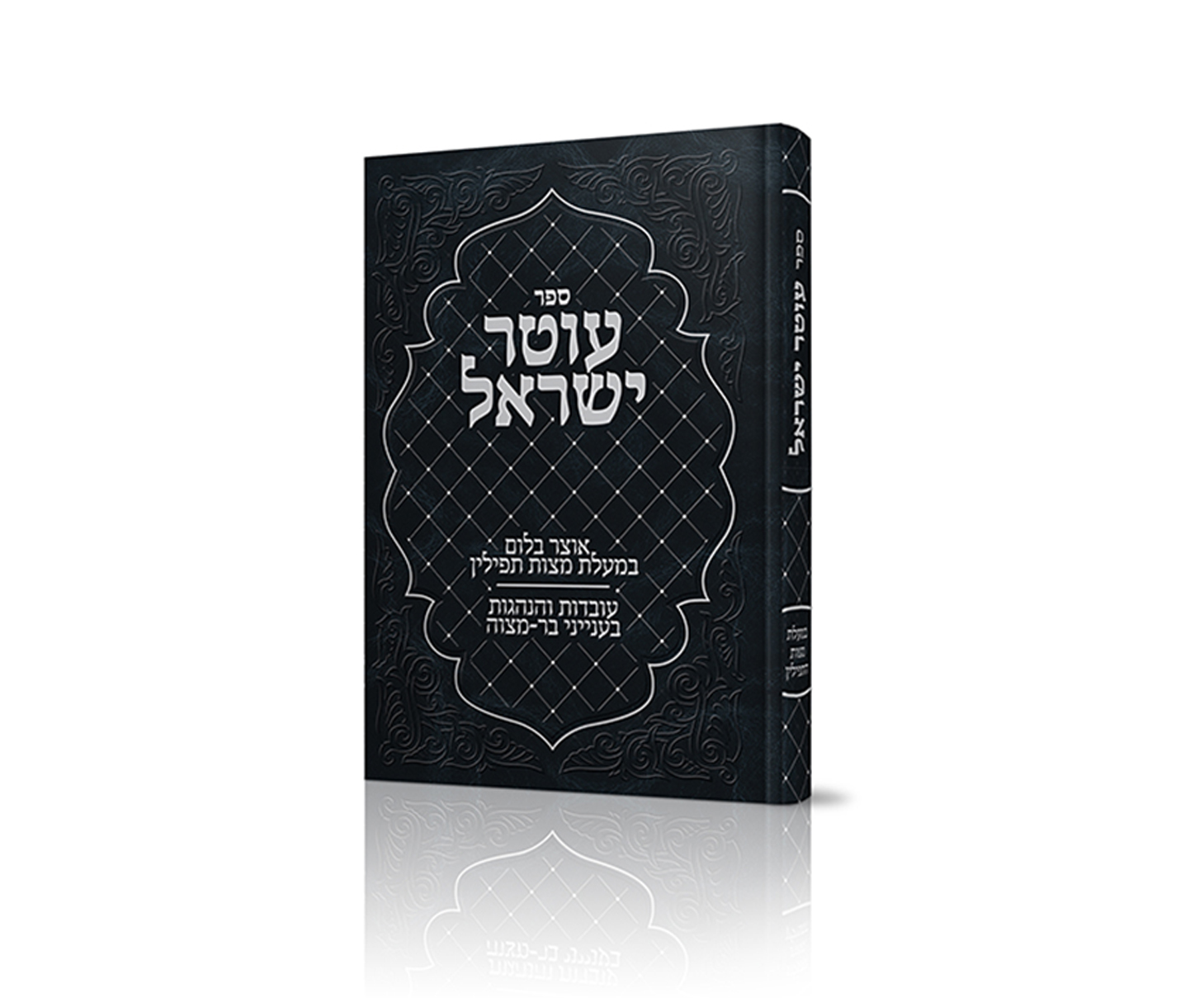 Entry 149098 in Portfolio by קווי מתאר