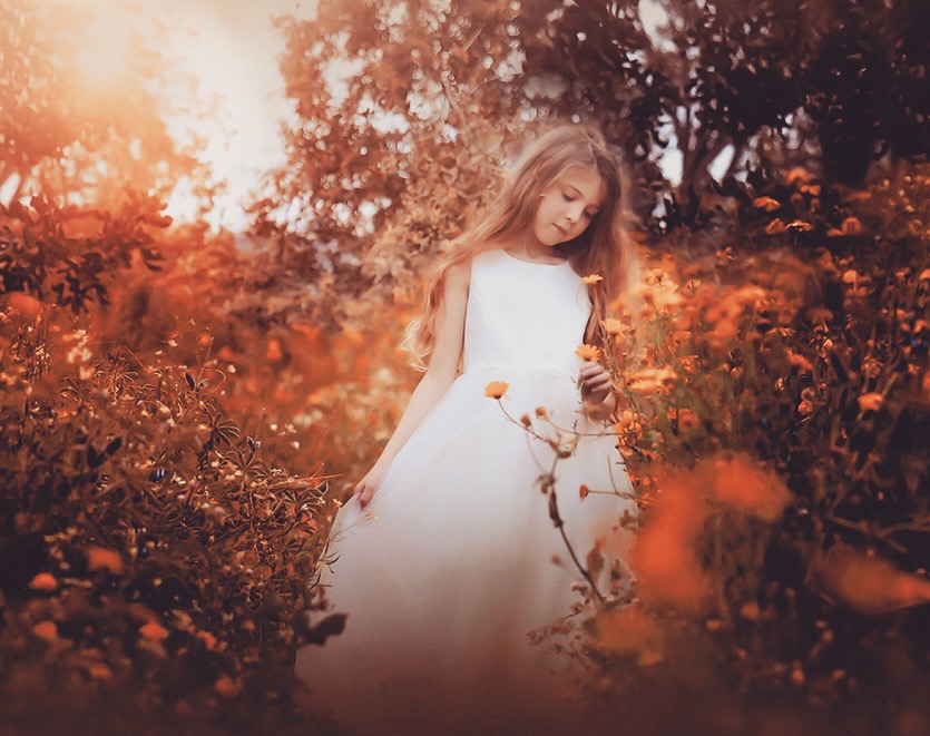 Entry 212003 in Portfolio by Yesterday is Forever Photography