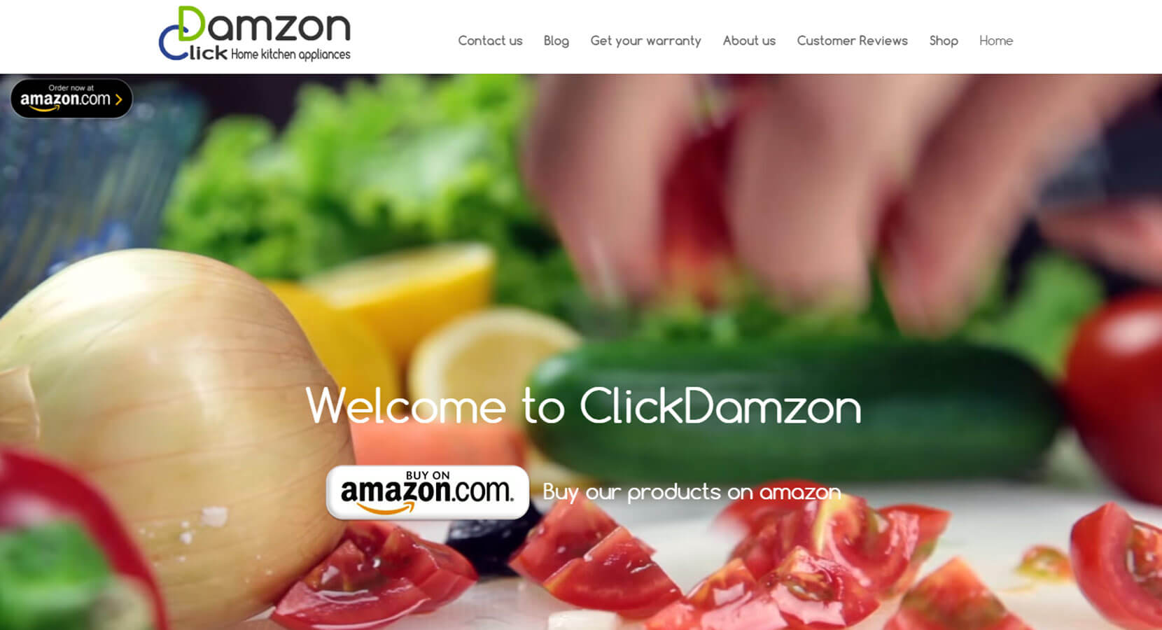 Entry 102506 in Portfolio by gWebSite