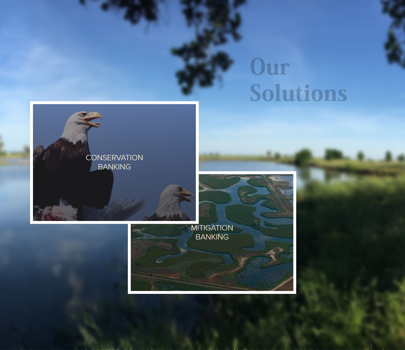 Entry 155490 in Wildlandsinc - Habitat Mitigation Solution by Root Info Solutions