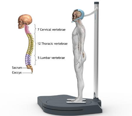 Open Zoomed Related Entry Spinal Decompressor