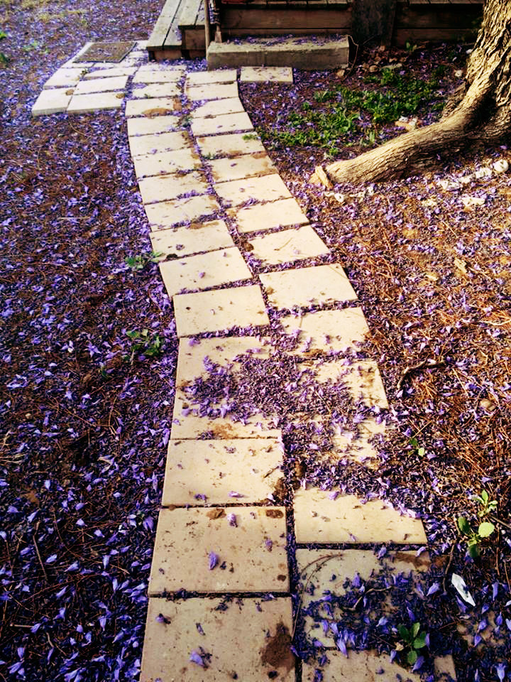 Entry 204209 in PHOTOGRAPHY by NATHI OH
