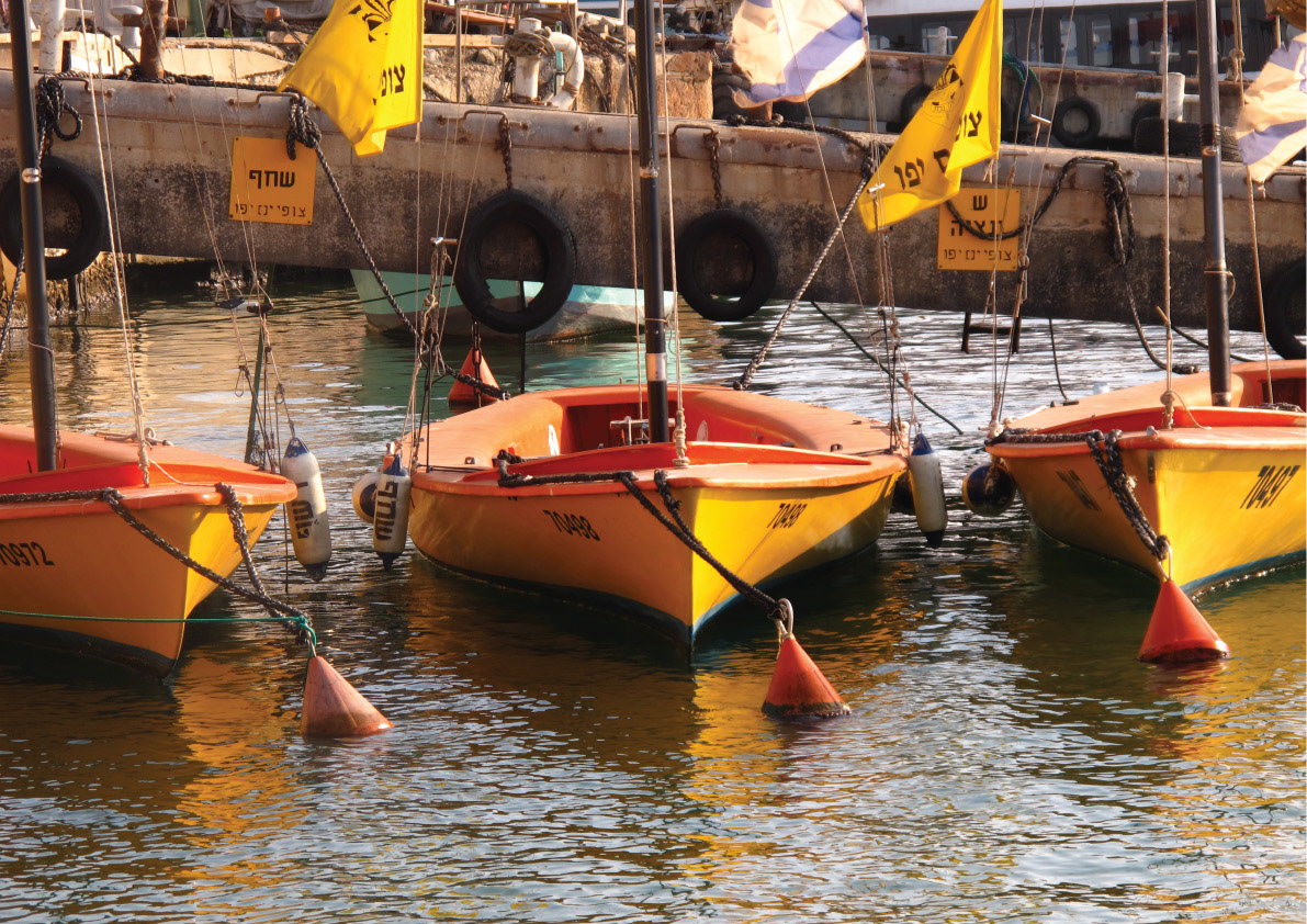 Entry 202256 in Student project - Jaffa Port by Nooka