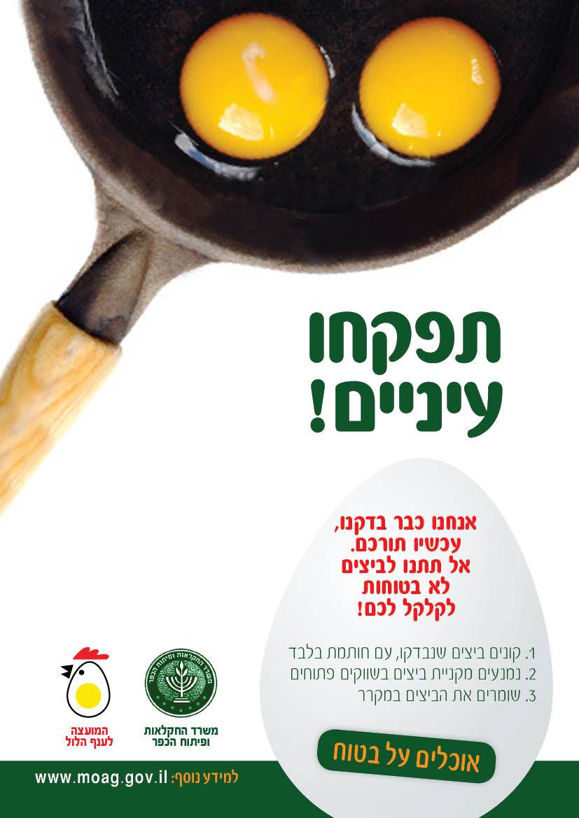 Entry 293035 in Portfolio by צביקה זינגר פרסום, קריאייטיב, קופירייטינג ותוכן