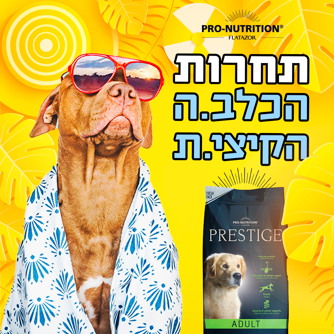 Entry 279914 in Digital & Social Media by Nurit Cohen G Design