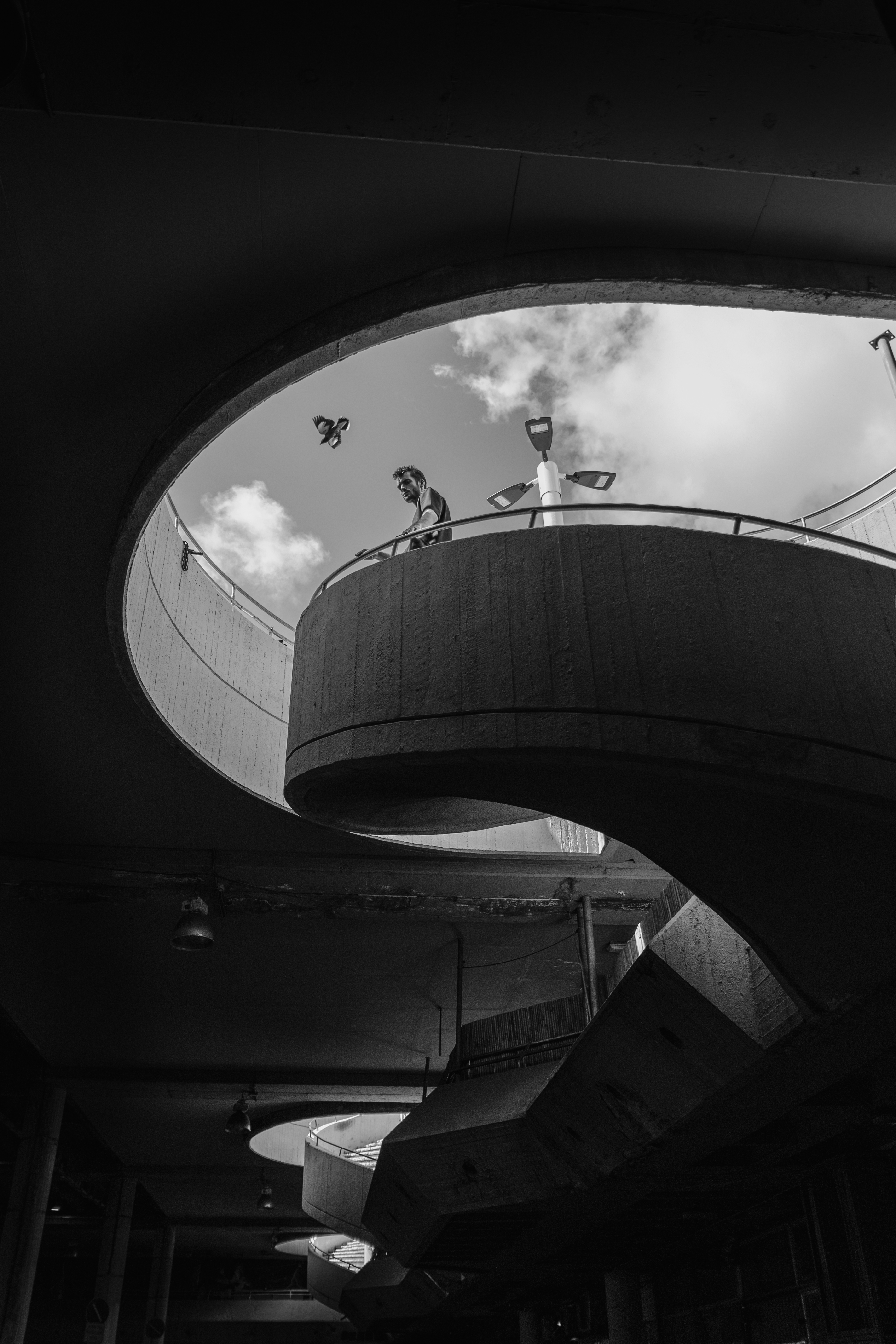 Entry 275502 in Portfolio by חנן אסור