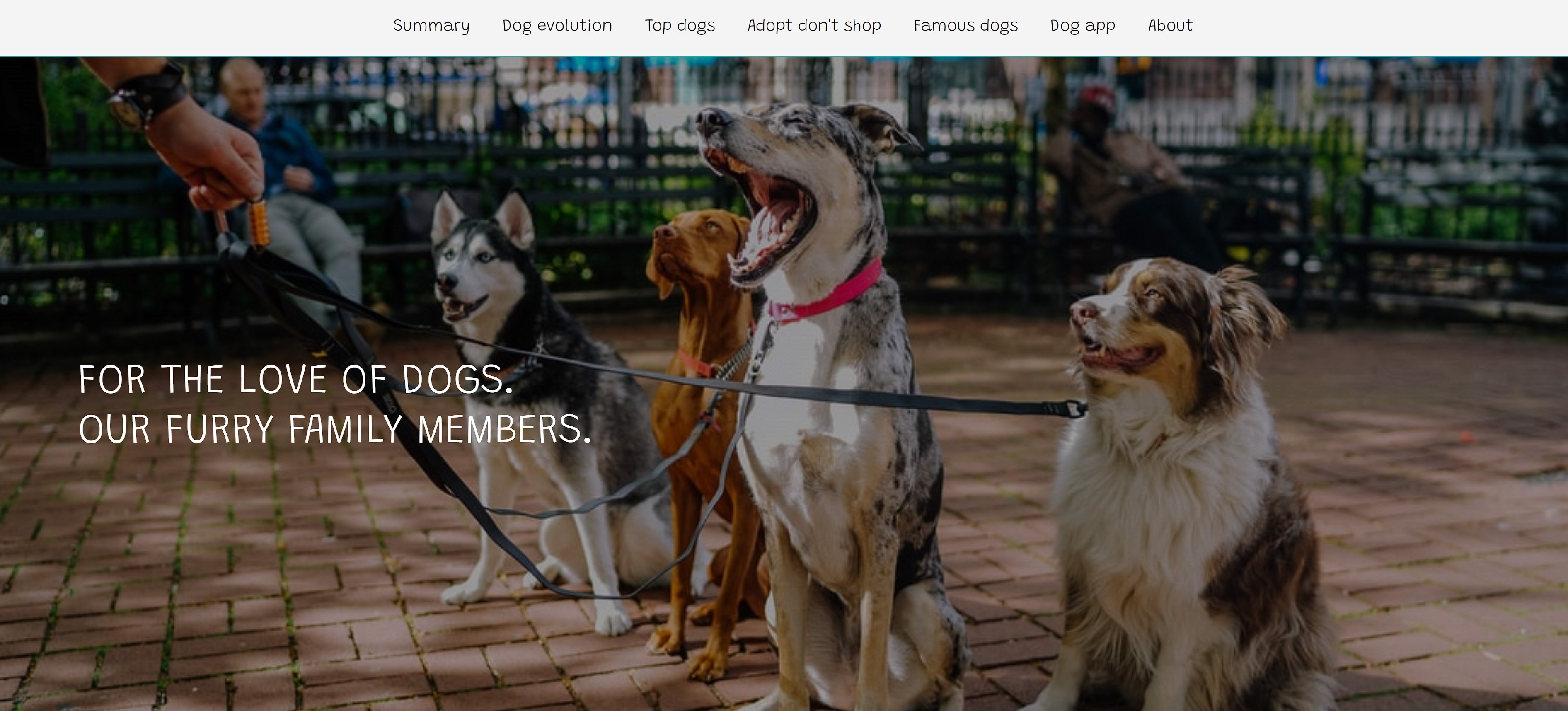 Entry 314742 in Portfolio by Dror Salomon - DS CODE