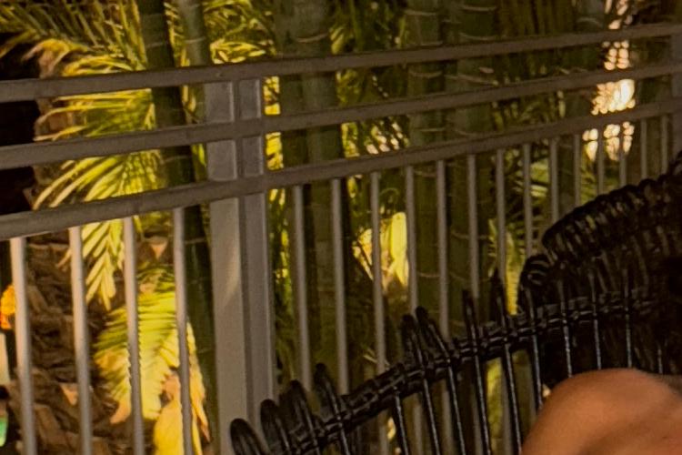 XPlace פרילנסרים | עבודה מהבית לפרילנסר ועבודות פרילנס לפרילנסרים