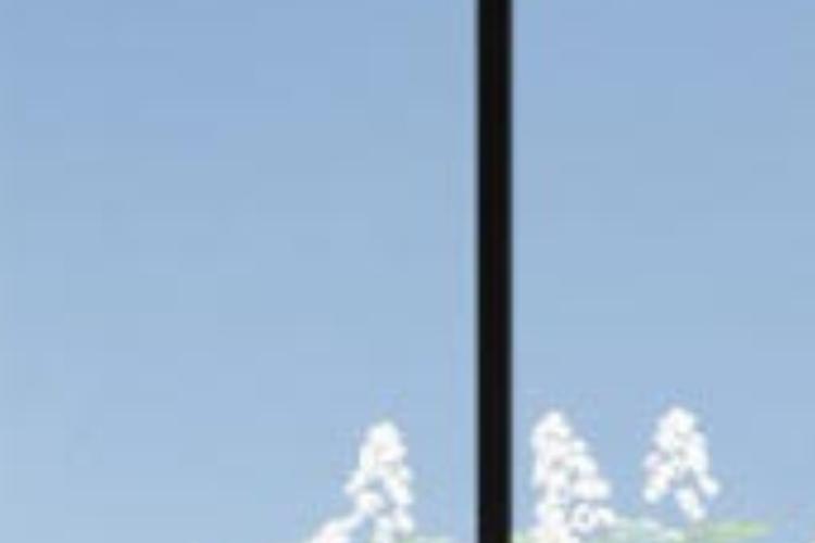 Open Zoomed Related Entry הדמיות ממותגות (5).jpg