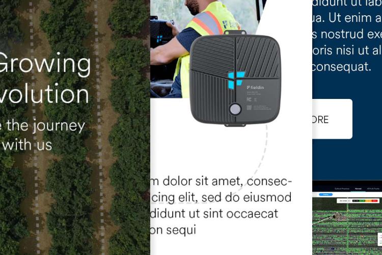 Open Zoomed Related Entry fieldin.png