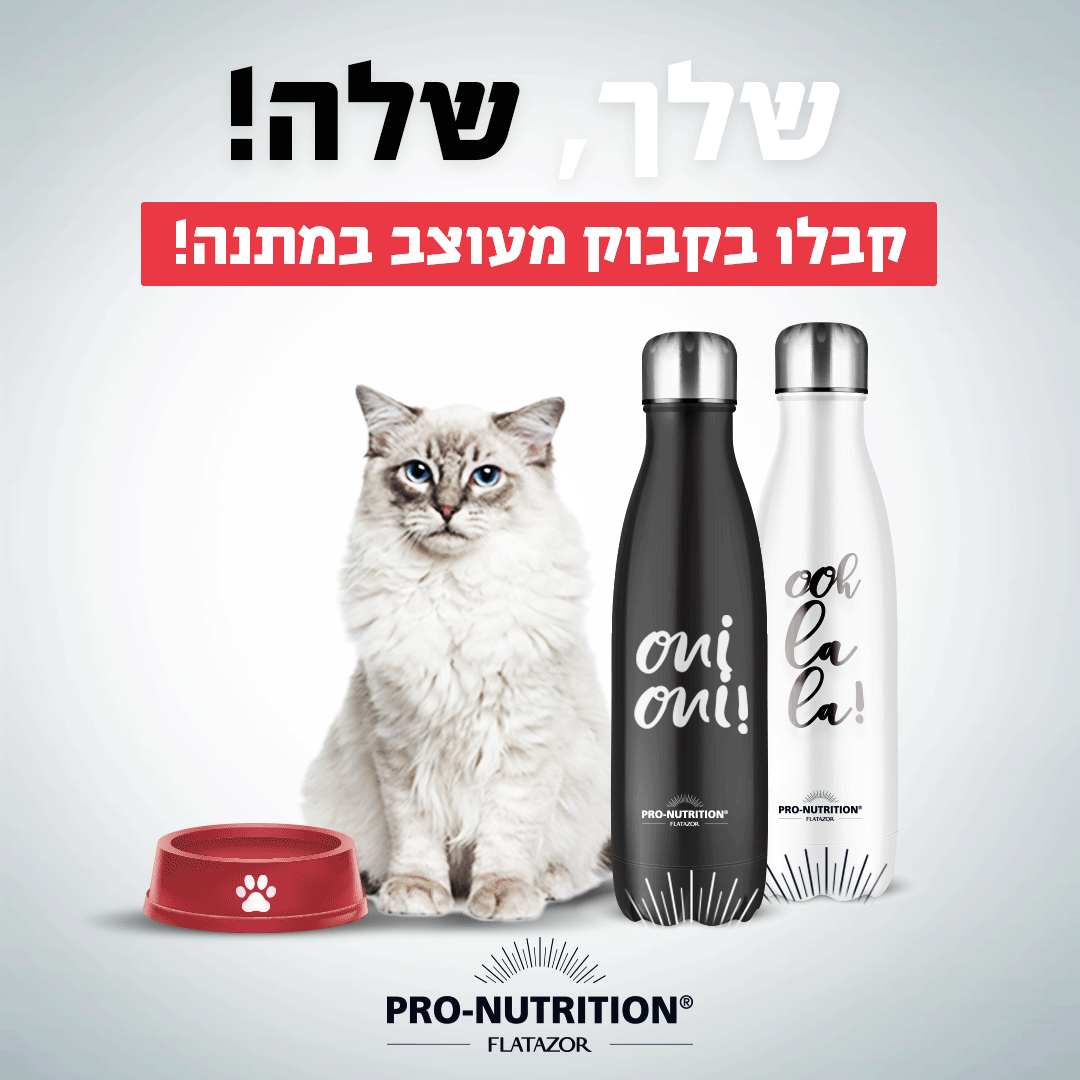 Entry 279913 in Digital & Social Media by Nurit Cohen G Design