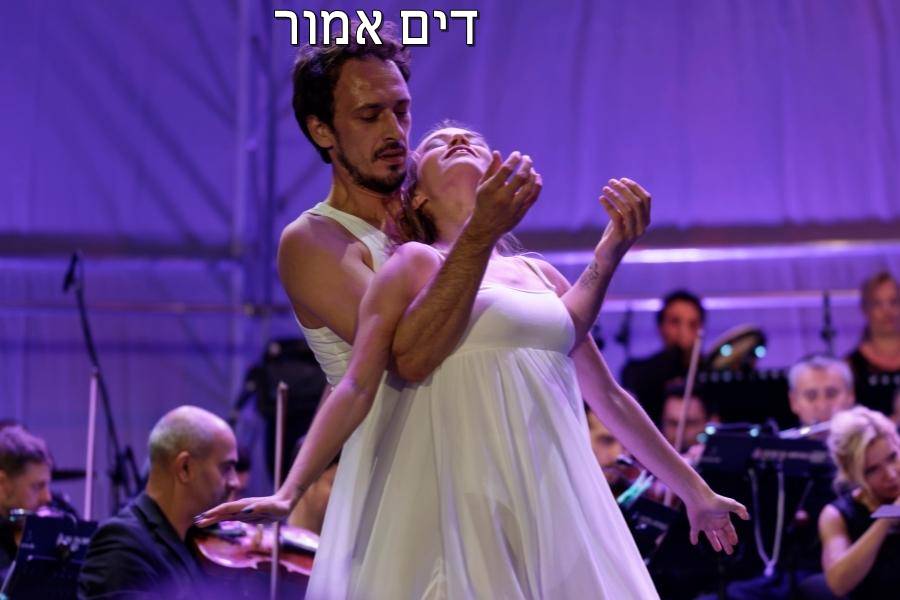 Entry 267824 in Portfolio by דים אמור בית ספר למשחק