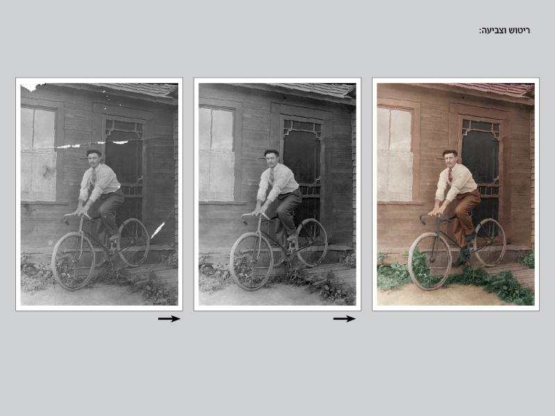 Entry 37242 in Portfolio by Orit Neeman