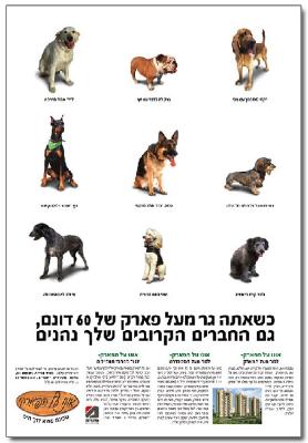 Entry 1251 in Portfolio by רוני חפר - תקשורת חזותית