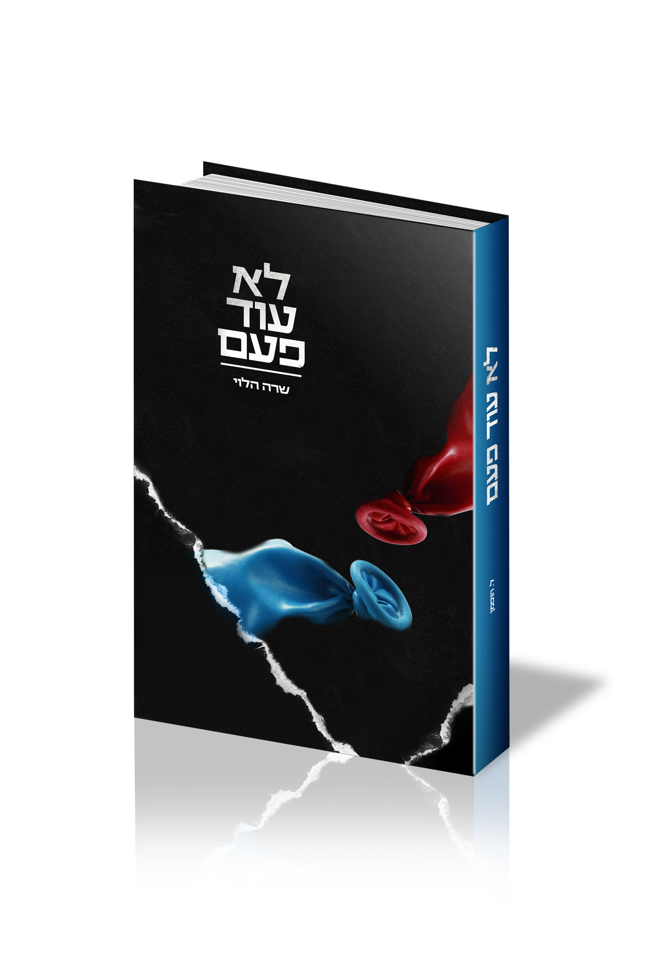 Entry 163776 in Portfolio by לאה הופמן