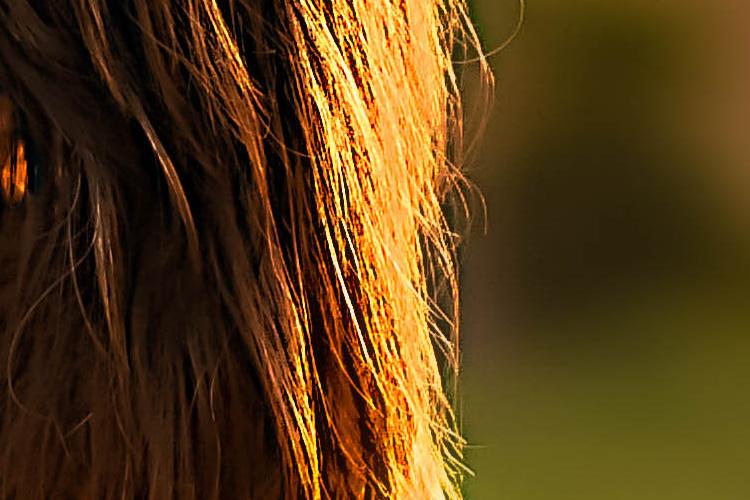 Open Zoomed Related Entry 26.jpg