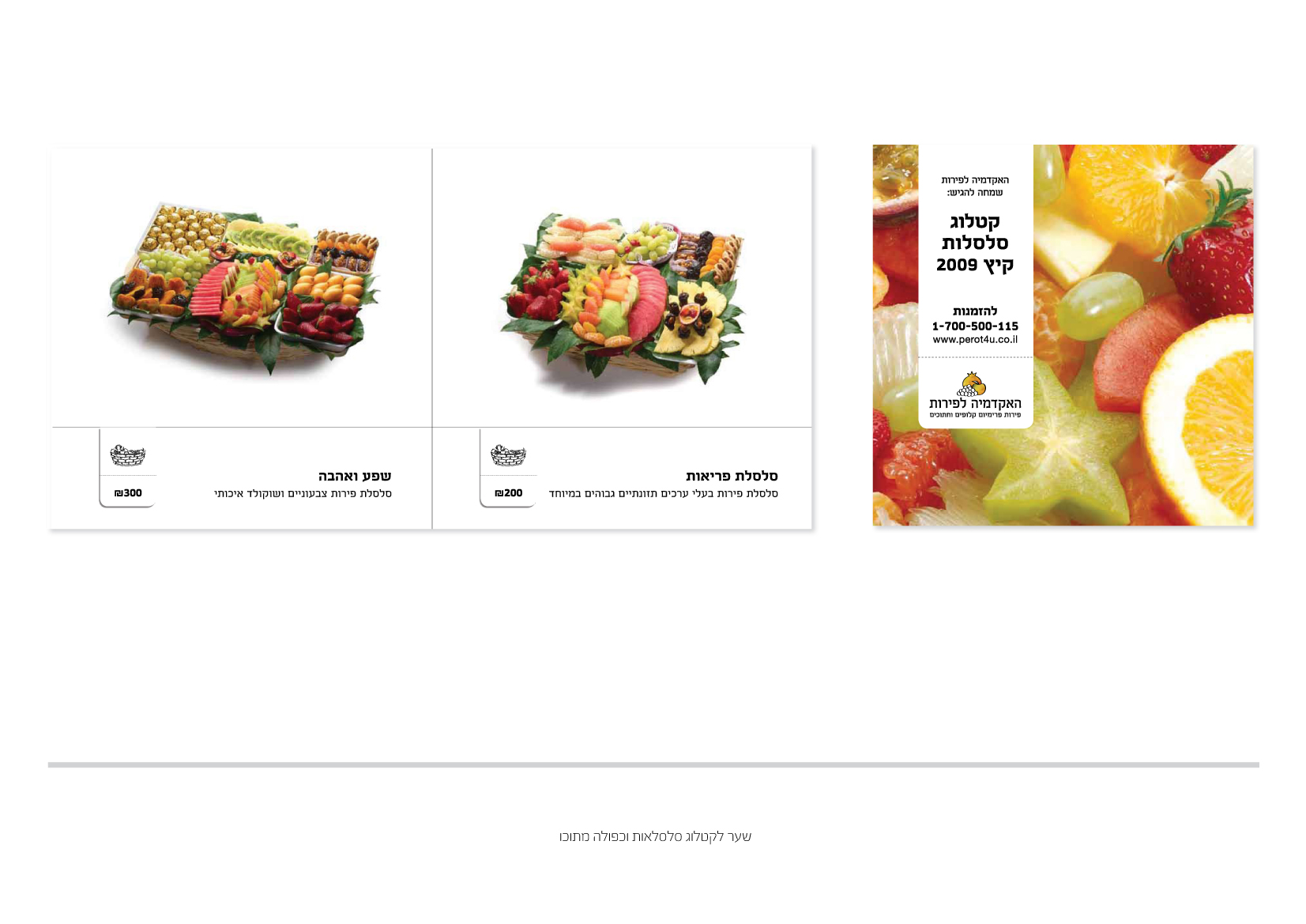 Entry 87022 in Portfolio by ענבל טל עיצוב גרפי