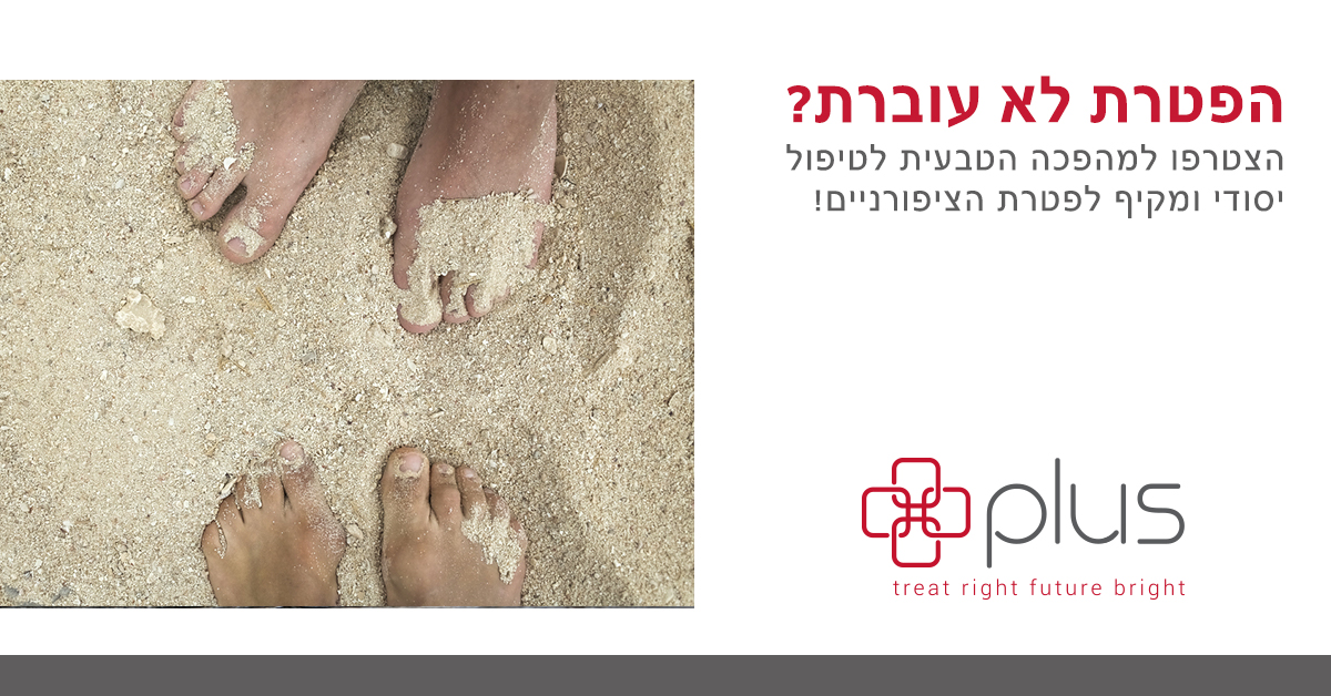 Entry 147747 in צמחי מרפא by דנה דרבינסקי - כתיבה, סושיאל, עריכה, הובלת פרויקטי תוכן