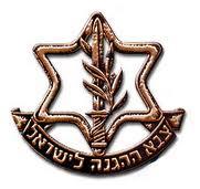 Entry 15267 in Portfolio by רותם סלוצקי