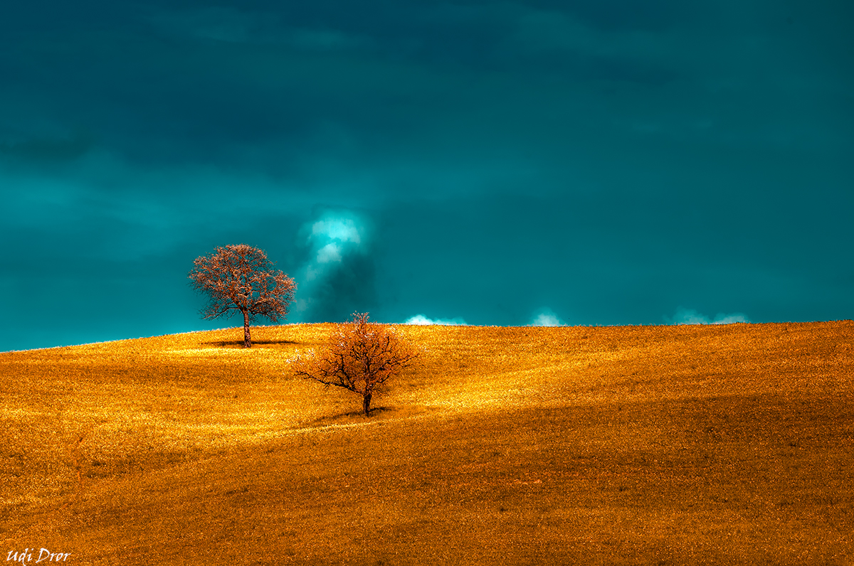 Entry 209453 in Portfolio by Udi Dror Photography