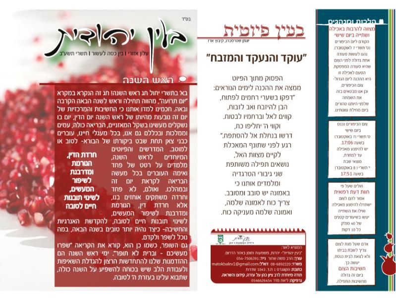 Entry 44811 in Portfolio by נקודה טובה