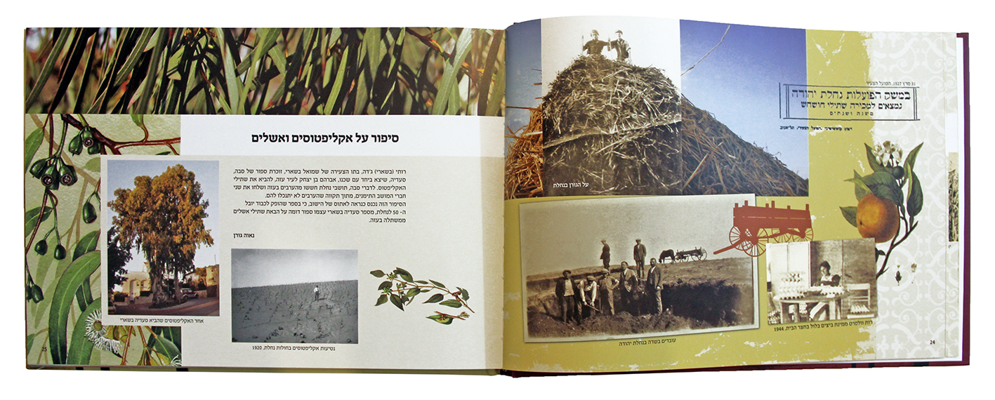 Entry 208684 in ספרים by דני שיפר. עיצוב