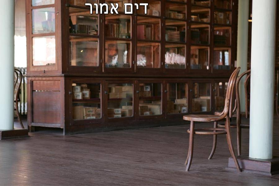 Entry 267838 in Portfolio by דים אמור בית ספר למשחק