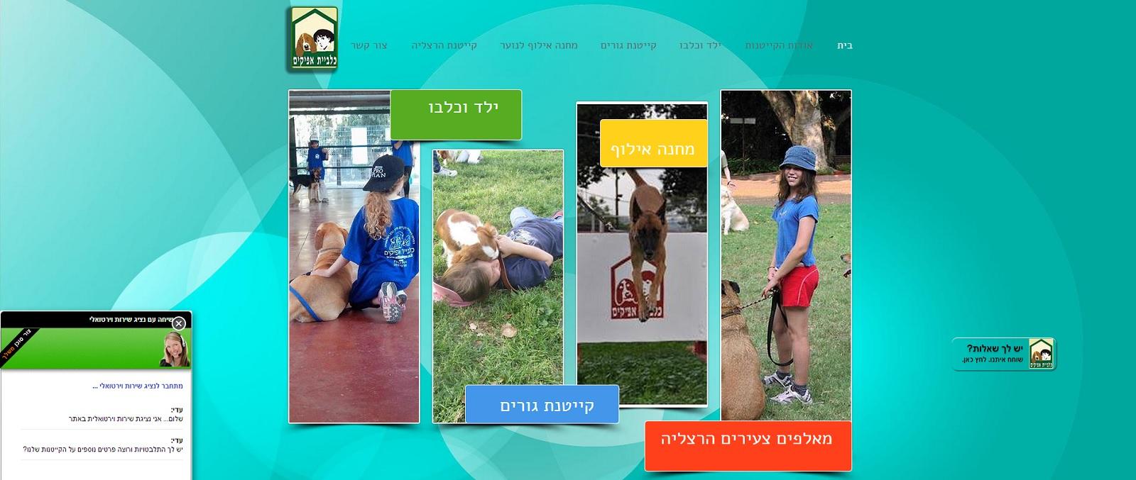 Entry 58375 in Portfolio by טלי לוטן תרגומים