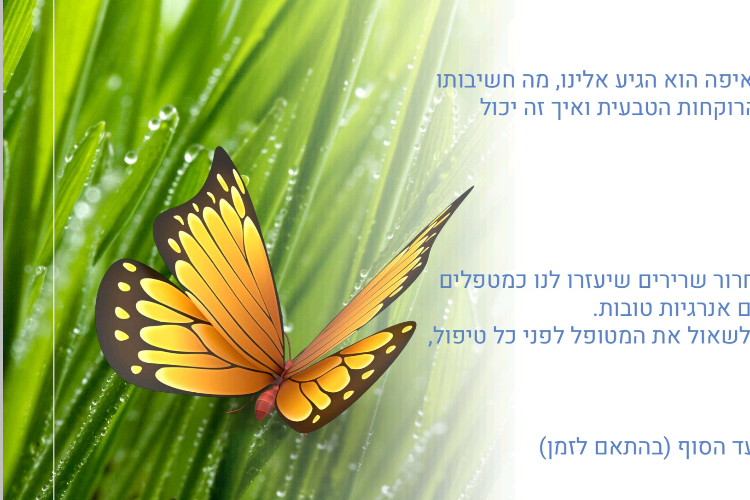 XPlace פרילנסרים | עבודה מהבית לפרילנסר ועבודות פרילנס לפרילנסרים
