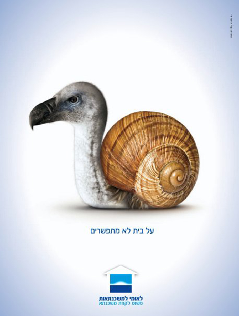 Entry 102210 in דג זהב 2009 by סימי עמית מורלי