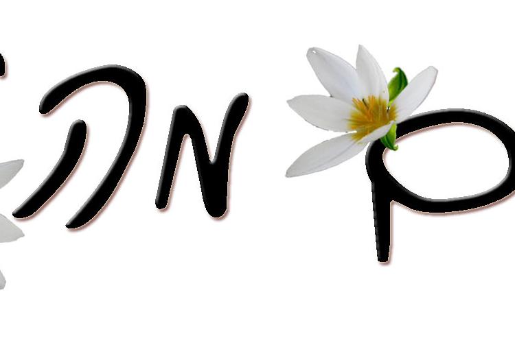 Open Zoomed Related Entry הדס2.jpg