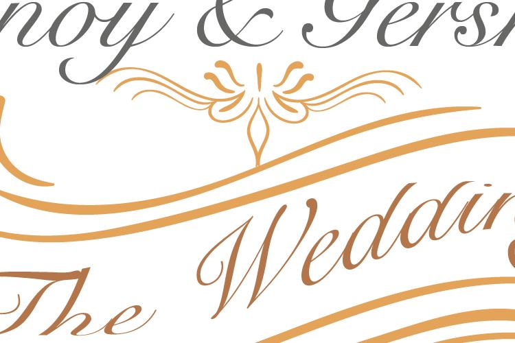 Open Zoomed Related Entry Linoy and gershon The Wedding2.png