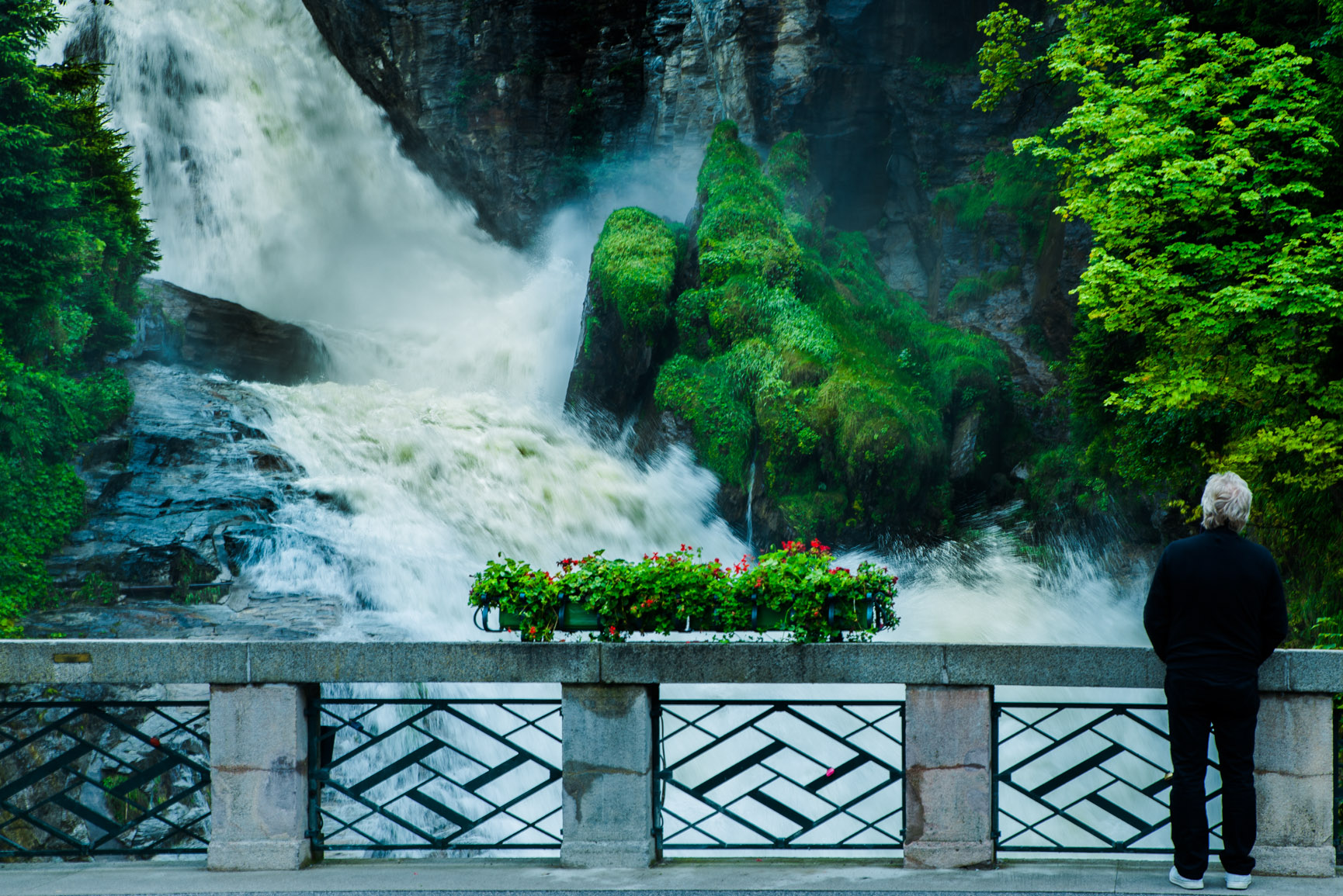 Entry 121378 in Landscapes by Ron Stollman Photography