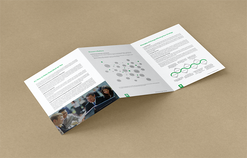 Entry 223690 in Portfolio by Logo Bank